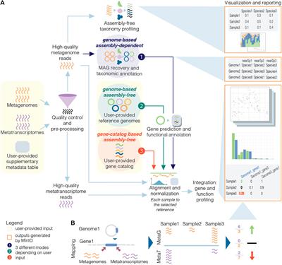 MIntO: A Modular and Scalable Pipeline For Microbiome Metagenomic and Metatranscriptomic Data Integration